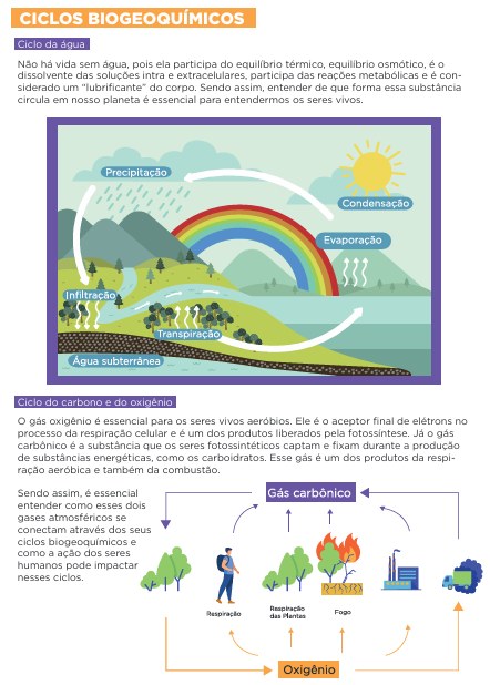 Ciclos biogeoquímicos