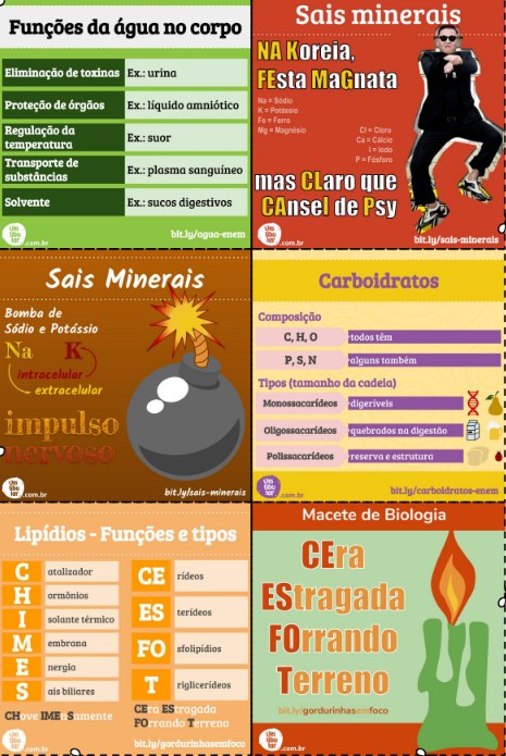 Macetes de Biologia: água, sais minerais, carboidratos e lipídios