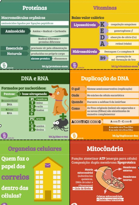 Proteínas, vitaminas, DNA e RNA