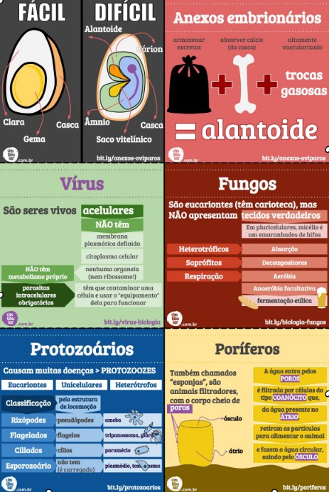 Vírus, fungos, protozoários e poríferos